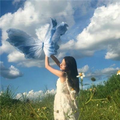 泡影昙花
